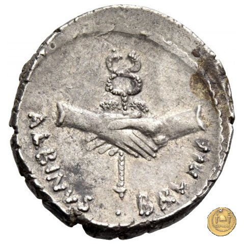 450/2 - denario D. Postumius Albinus Bruti 48 BC (Roma)