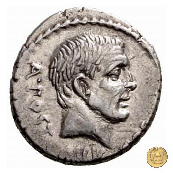 450/3 - denario D. Postumius Albinus Bruti 48 BC (Roma)