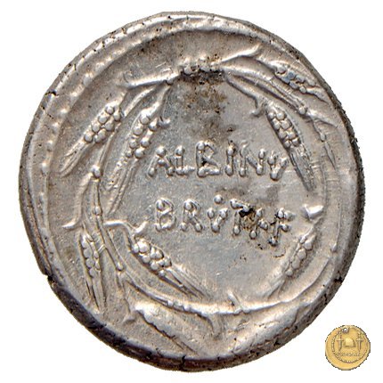 450/3 - denario D. Postumius Albinus Bruti 48 BC (Roma)