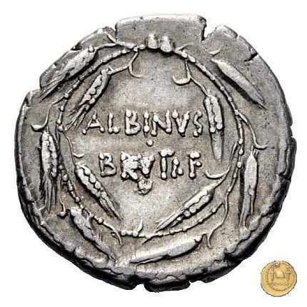 450/3 - denario D. Postumius Albinus Bruti 48 BC (Roma)