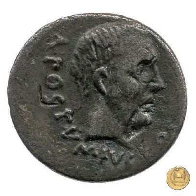 450/3 - denario D. Postumius Albinus Bruti 48 BC (Roma)