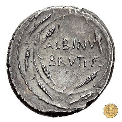 450/3 - denario D. Postumius Albinus Bruti 48 BC (Roma)