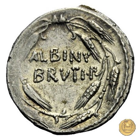 450/3 - denario D. Postumius Albinus Bruti 48 BC (Roma)