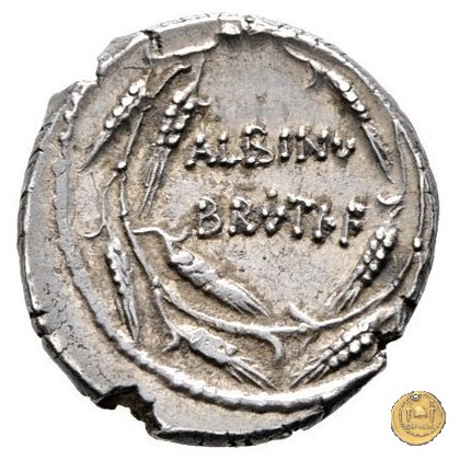 450/3 - denario D. Postumius Albinus Bruti 48 BC (Roma)