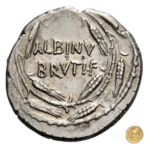 450/3 - denario D. Postumius Albinus Bruti 48 BC (Roma)