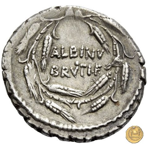 450/3 - denario D. Postumius Albinus Bruti 48 BC (Roma)