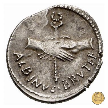 451/1 - denario C. Vibius Pansa Caetronianus /D. Iunius Brutus Albinus 48 BC (Roma)