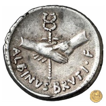 451/1 - denario C. Vibius Pansa Caetronianus /D. Iunius Brutus Albinus 48 BC (Roma)