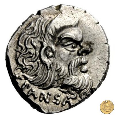 451/1 - denario C. Vibius Pansa Caetronianus /D. Iunius Brutus Albinus 48 BC (Roma)