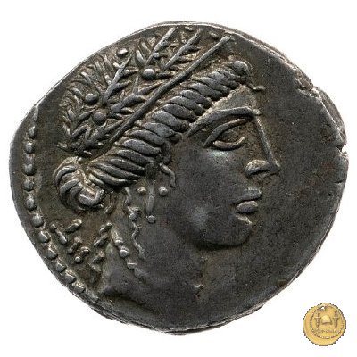 452/5 - denario C. Iulius Caesar 48-47 BC (Itinerante con Caesar)