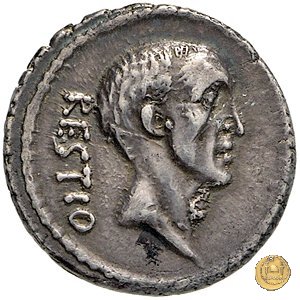 455/1 - denario C. Antius C.f. Restio 47 BC (Roma)