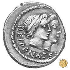 455/2 - denario C. Antius C.f. Restio 47 BC (Roma)