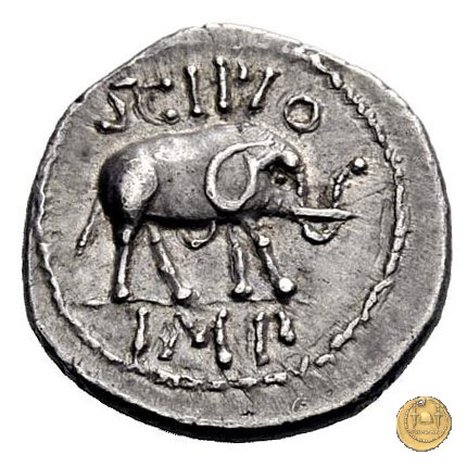 459/1 - denario Q. Caecilius Q.f. Q.n. Metellus Pius Scipio Nasica 47-46 BC (Africa)