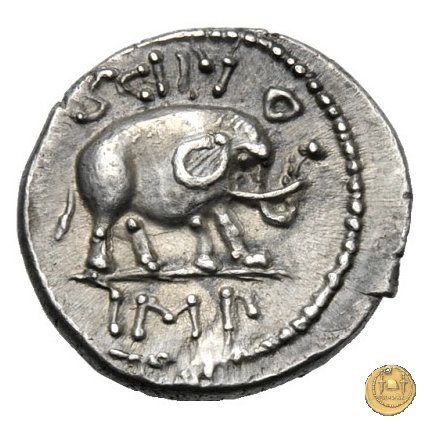 459/1 - denario Q. Caecilius Q.f. Q.n. Metellus Pius Scipio Nasica 47-46 BC (Africa)