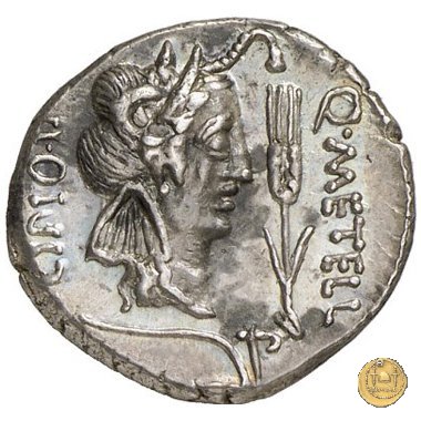 461/1 - denario Q. Caecilius Metellus / Eppius 47-46 BC (Africa)