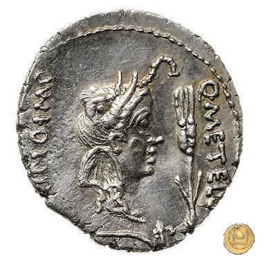 461/1 - denario Q. Caecilius Metellus / Eppius 47-46 BC (Africa)