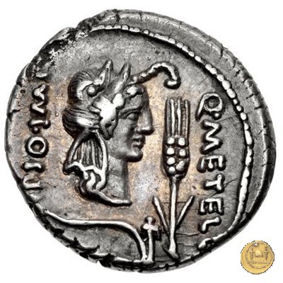 461/1 - denario Q. Caecilius Metellus / Eppius 47-46 BC (Africa)