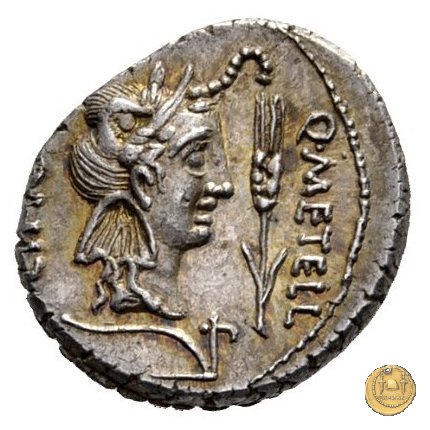 461/1 - denario Q. Caecilius Metellus / Eppius 47-46 BC (Africa)