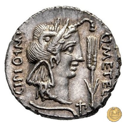 461/1 - denario Q. Caecilius Metellus / Eppius 47-46 BC (Africa)