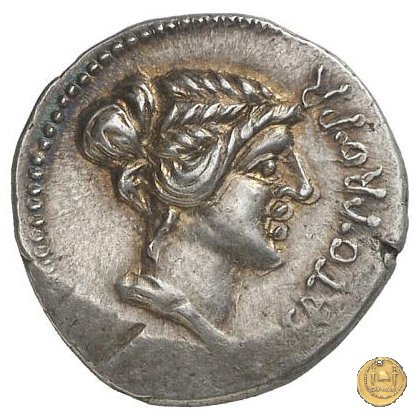 462/1 - denario M. Porcius Cato Uticensis 47-46 BC (Africa)