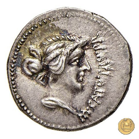 462/1 - denario M. Porcius Cato Uticensis 47-46 BC (Africa)