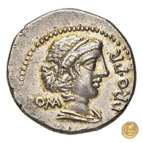 462/1 - denario M. Porcius Cato Uticensis 47-46 BC (Africa)