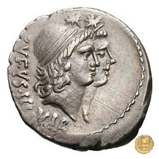 463/1 - denario Mn. Cordius Rufus 46 BC (Roma)