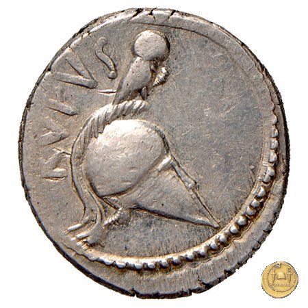 463/2 - denario Mn. Cordius Rufus 46 BC (Roma)