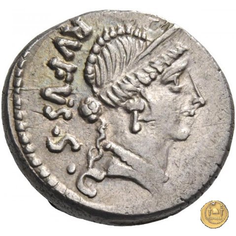 463/3 - denario Mn. Cordius Rufus 46 BC (Roma)