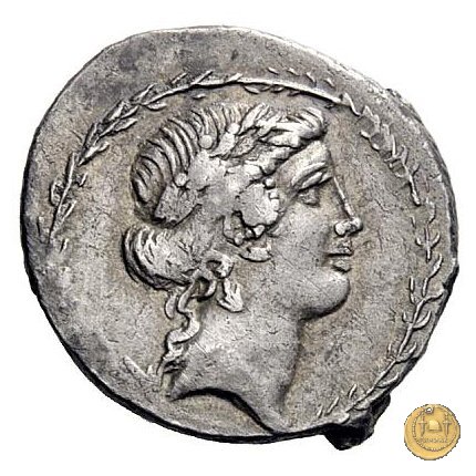 465/1 - denario C. Considius Paetus 46 BC (Roma)