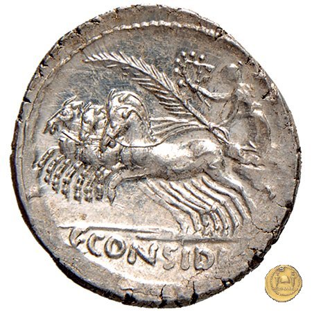 465/3 - denario C. Considius Paetus 46 BC (Roma)