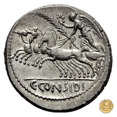 465/3 - denario C. Considius Paetus 46 BC (Roma)