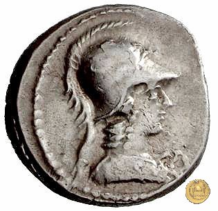 465/5 - denario C. Considius Paetus 46 BC (Roma)