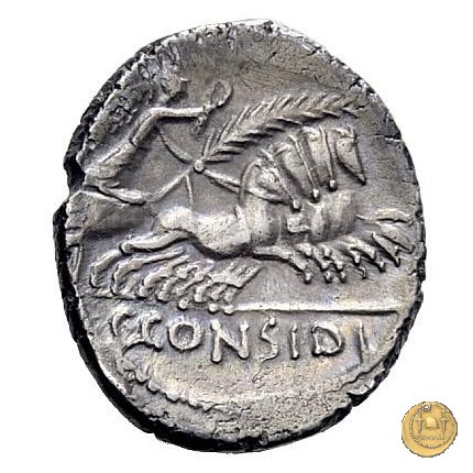 465/5 - denario C. Considius Paetus 46 BC (Roma)