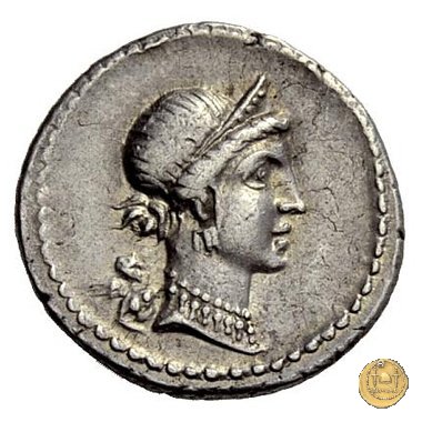 468/1 - denario C. Iulius Caesar 46-45 BC (Spagna)