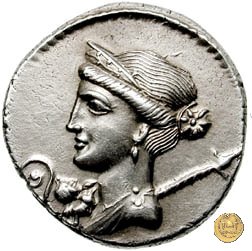 468/2 - denario C. Iulius Caesar 46-45 BC (Spagna)