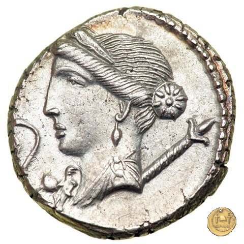 468/2 - denario C. Iulius Caesar 46-45 BC (Spagna)