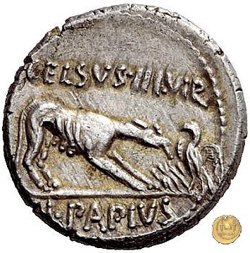 472/1 - denario L. Papius Celsus 45 BC (Roma)