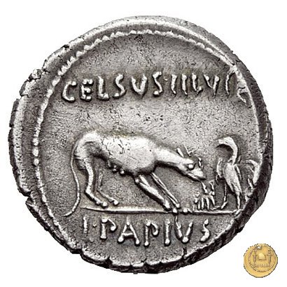 472/1 - denario L. Papius Celsus 45 BC (Roma)