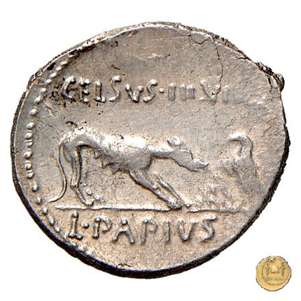 472/2 - denario L. Papius Celsus 45 BC (Roma)