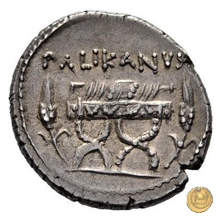 473/2 - denario L. Lollius Palicanus 45 BC (Roma)