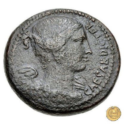 476/1 - bronzo C. Iulius Caesar / C. Clovius 45 BC