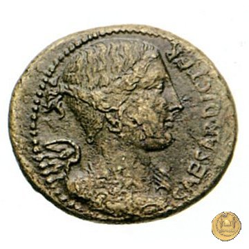 476/1 - bronzo C. Iulius Caesar / C. Clovius 45 BC