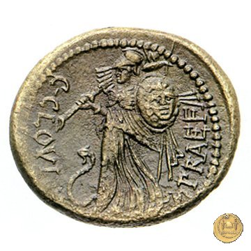 476/1 - bronzo C. Iulius Caesar / C. Clovius 45 BC