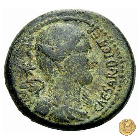 476/1 - bronzo C. Iulius Caesar / C. Clovius 45 BC