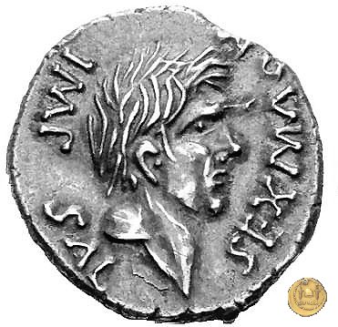 477/1 - denario Sex. Pompeius Magnus Pius 45-44 BC (Spagna)