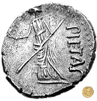 477/2 - denario Sex. Pompeius Magnus Pius 45-44 a.C. (Spagna)