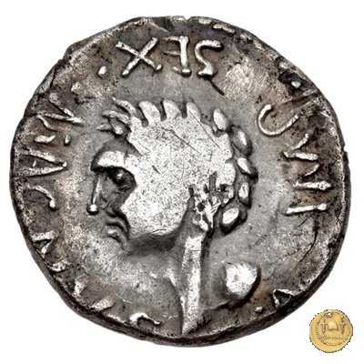 477/2 - denario Sex. Pompeius Magnus Pius 45-44 a.C. (Spagna)