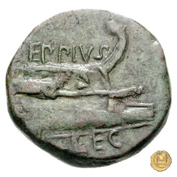 478/1 - asse Sex. Pompeius Magnus Pius / Eppius 45-44 BC (Sicilia)