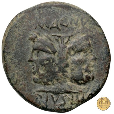 478/1 - asse Sex. Pompeius Magnus Pius / Eppius 45-44 BC (Sicilia)